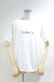 画像3: CAL O LINE　"TRIBECA" MAP T-SHIRT（White） (3)