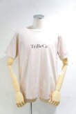 画像3: CAL O LINE　"TRIBECA" MAP T-SHIRT（Rose Gray） (3)