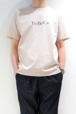 画像4: CAL O LINE　"TRIBECA" MAP T-SHIRT（Rose Gray） (4)