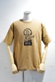 画像3: CAL O LINE　"SOUTH DAKOTA" T-SHIRT（COYOTE） (3)