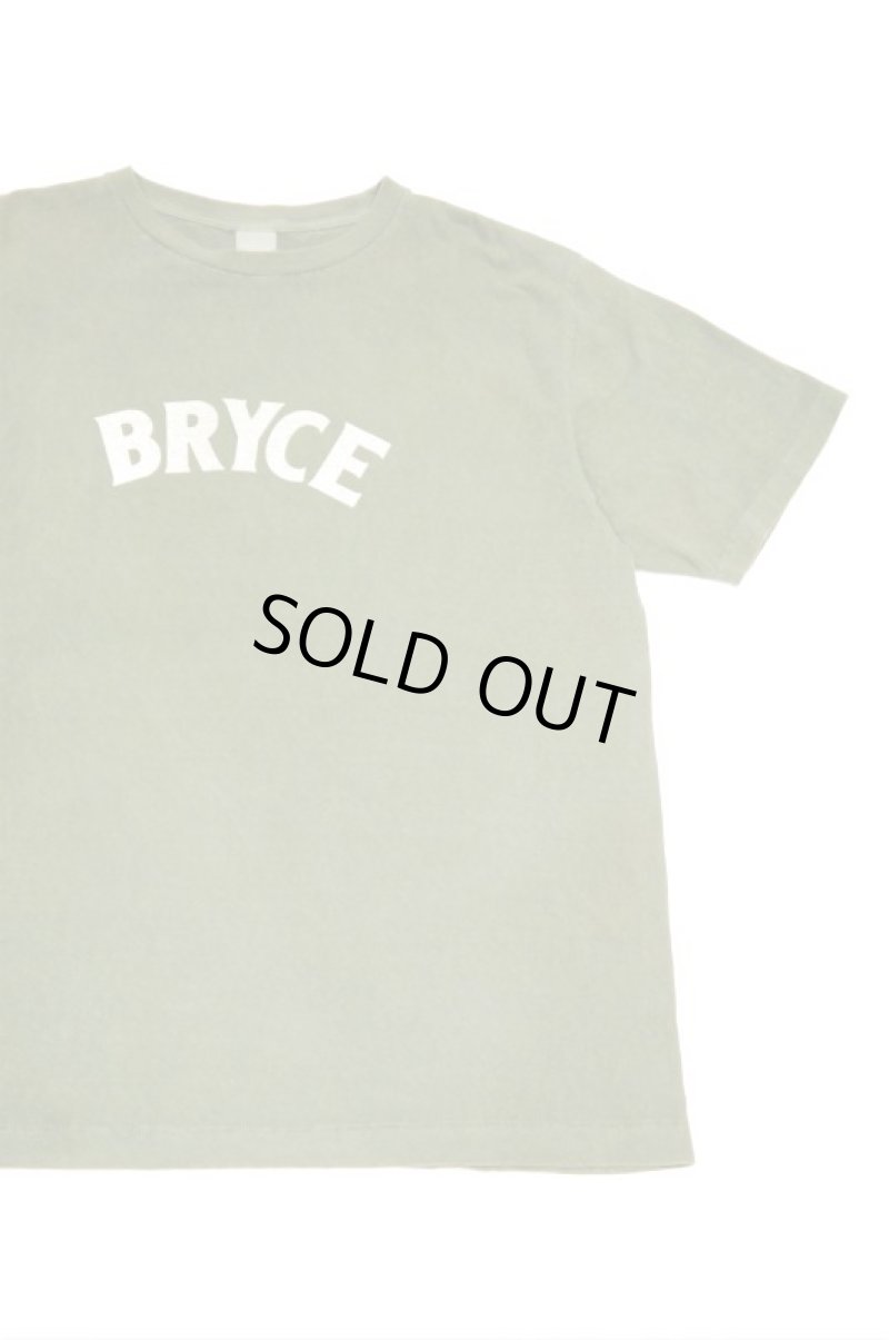 画像1: ORDINARY FITS　PRINT-T/BRYCE(KHAKI) (1)