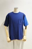 画像3: CAL O LINE　PALETTE S/S TEE（NAVY） (3)