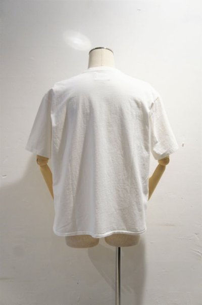 画像1: CAL O LINE　"SANTA BARBARA"  T-SHIRT（OFF WHITE）