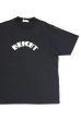 画像1: ORDINARY FITS　PRINT-T/BRIGHT(BLACK) (1)